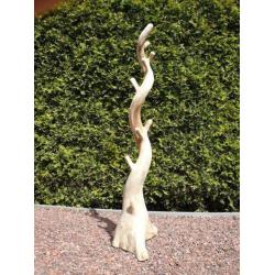 (434) KAPSTOKBOOM - Koffie boom - 2m. hoog