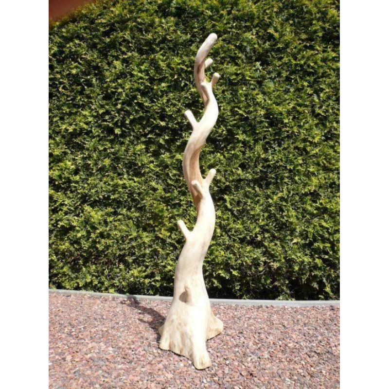 (434) KAPSTOKBOOM - Koffie boom - 2m. hoog