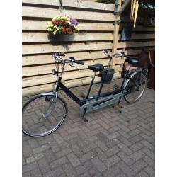 Tandem Van Raam, twinny, donker groen