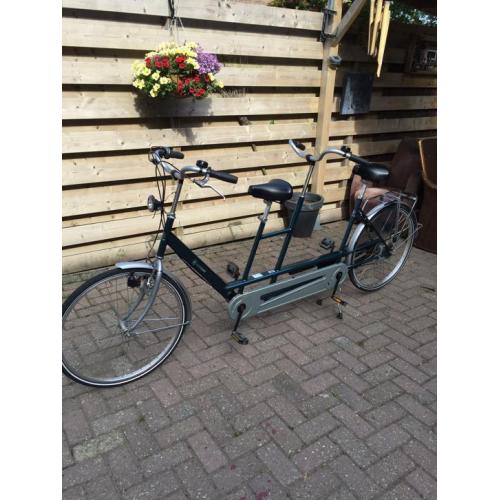 Tandem Van Raam, twinny, donker groen