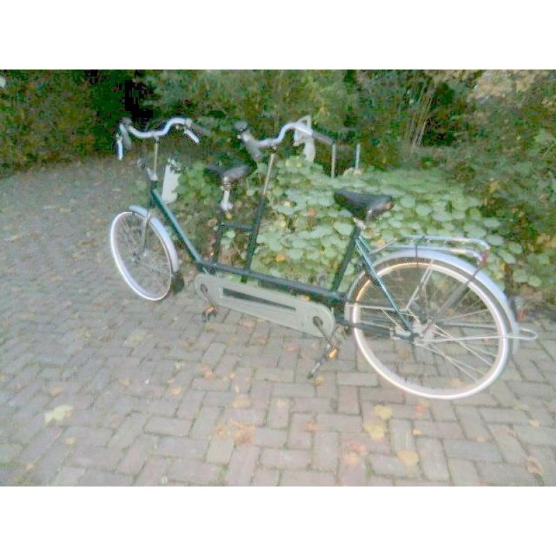 Tandem merk RAAM