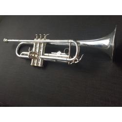 Trompet aurora classic