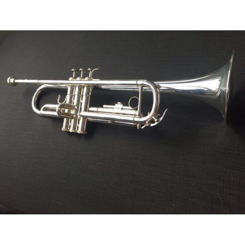 Trompet aurora classic