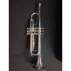 Trompet aurora classic