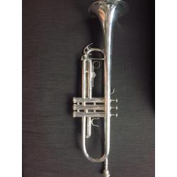Trompet aurora classic