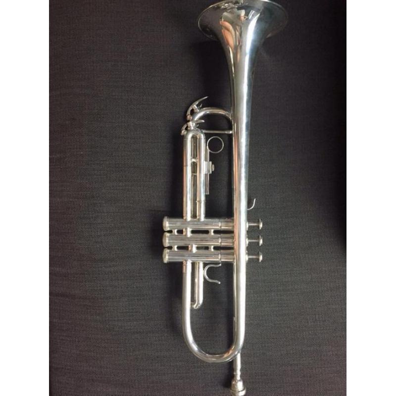 Trompet aurora classic