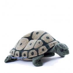 Schildpad, een prachtige en goed bespeelbare handpop van Fol