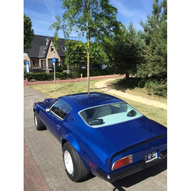 Pontiac Firebird 6.5 Formula AUT 1973 Blauw oldtimer