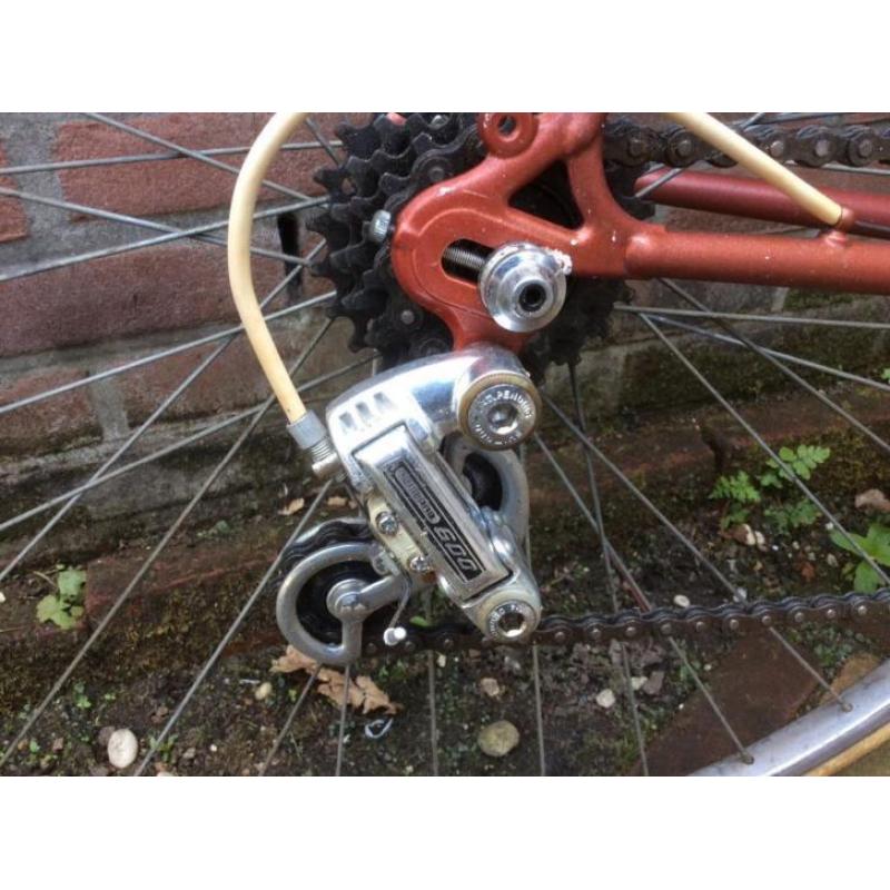 Leuke vintage racefiets Superia, Shimano 600 maat 58 ct