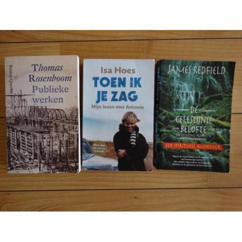 thomas rosenboom publieke werken
