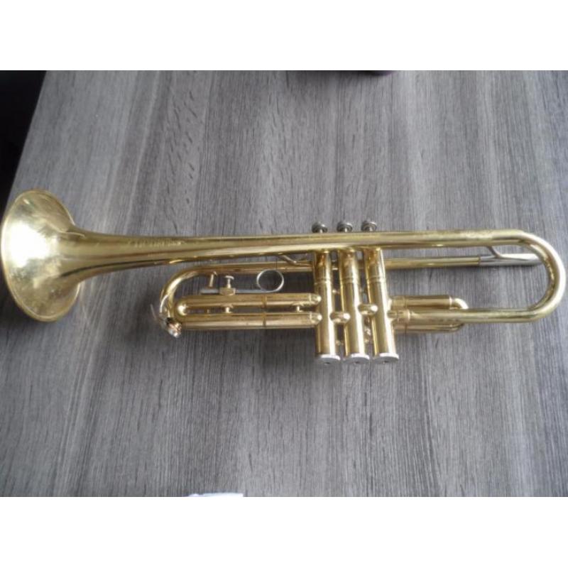 te koop aangeboden