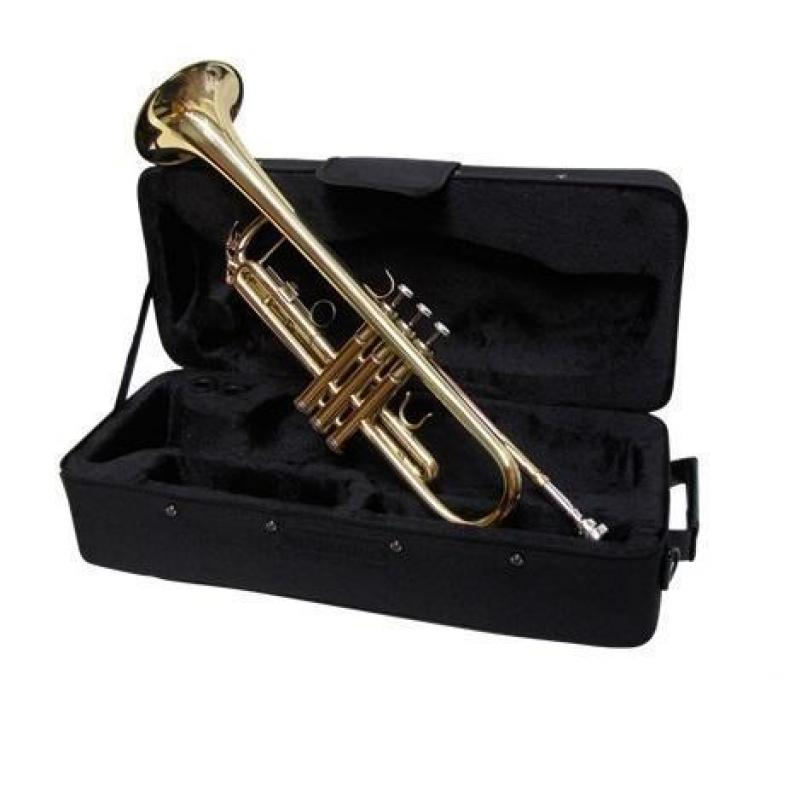 Bes Trompet GOLD - Purcel 4315L Gold ( met monel ventielen)