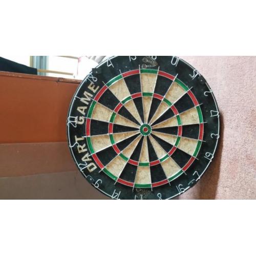 Dartbord