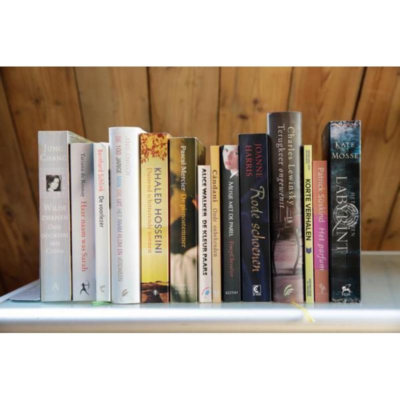 13 boeken vertaalde literatuur oa Lewinsky, Mercier