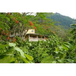 Buitenkans: Te koop een fantastisch land huis in Ecuador