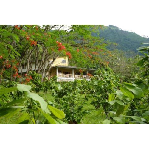 Buitenkans: Te koop een fantastisch land huis in Ecuador
