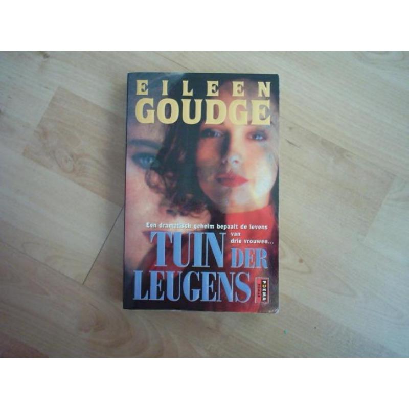 Roman van Eileen Goudge Tuin der Leugens