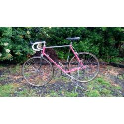 Gazelle Champion mondial - Monostay Speedstream!!