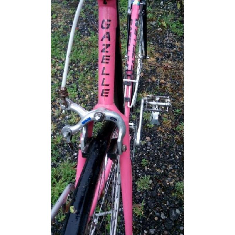 Gazelle Champion mondial - Monostay Speedstream!!
