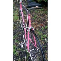 Gazelle Champion mondial - Monostay Speedstream!!