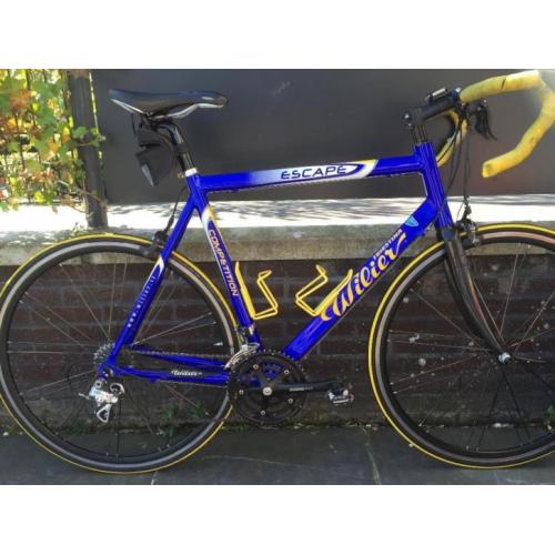 Wilier Triestina racefiets framemaat 58 Campagnolo Italia