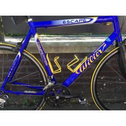 Wilier Triestina racefiets framemaat 58 Campagnolo Italia