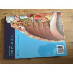 Prometheus anatomische atlas inwendige organen