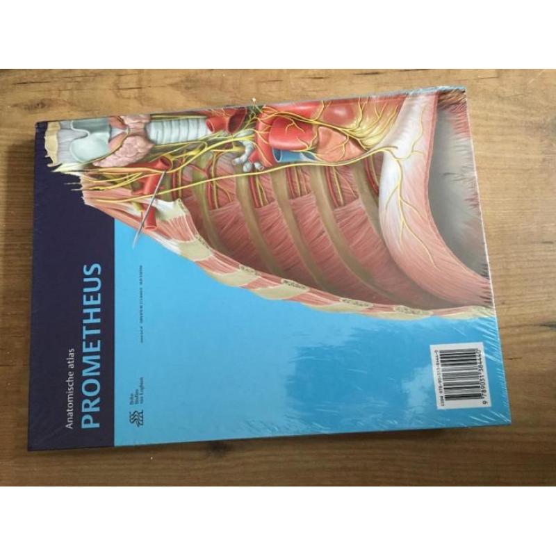 Prometheus anatomische atlas inwendige organen