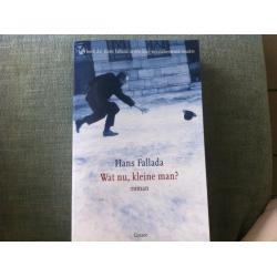 Hans Fallada - Wat nu, kleine man?