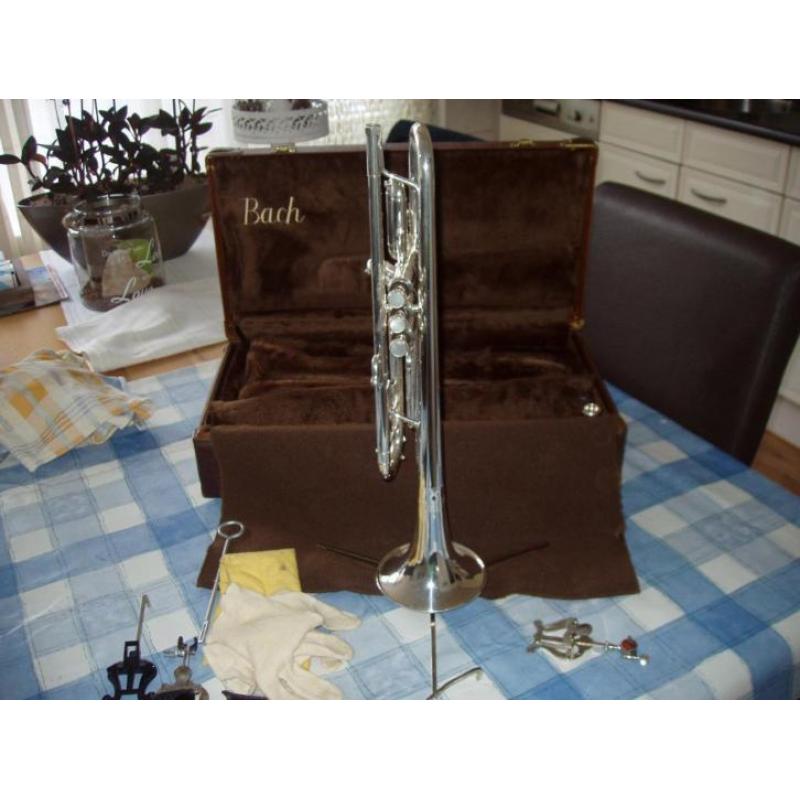 Trompet vincent bach stradivarius