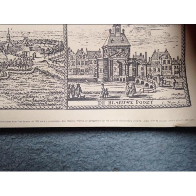 Stadskaart van Leiden, reproductie van 17e eeuw