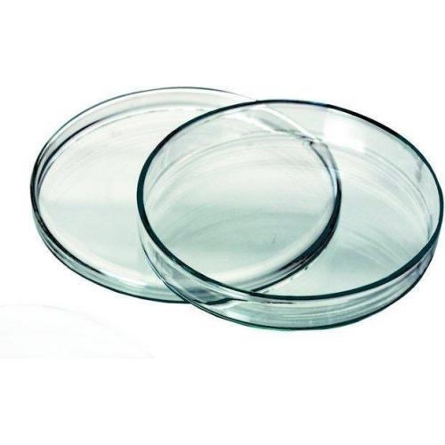 Benton petrischaaltje glas (Gratis verzending)