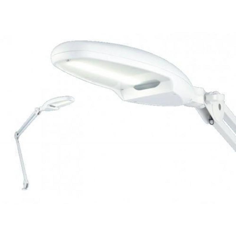 Daylight Led Professional 3 kleuren Lamp