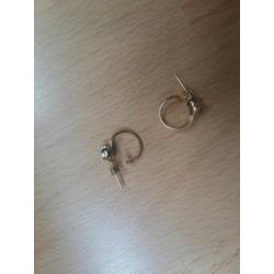 14k gouden poezen creolen