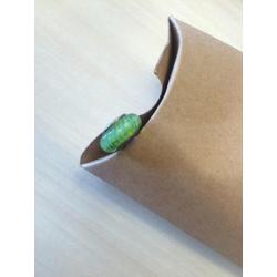 Pandora Muranoglas bedel