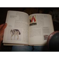 50 DIEREN die de geschiedenis veranderd hebben