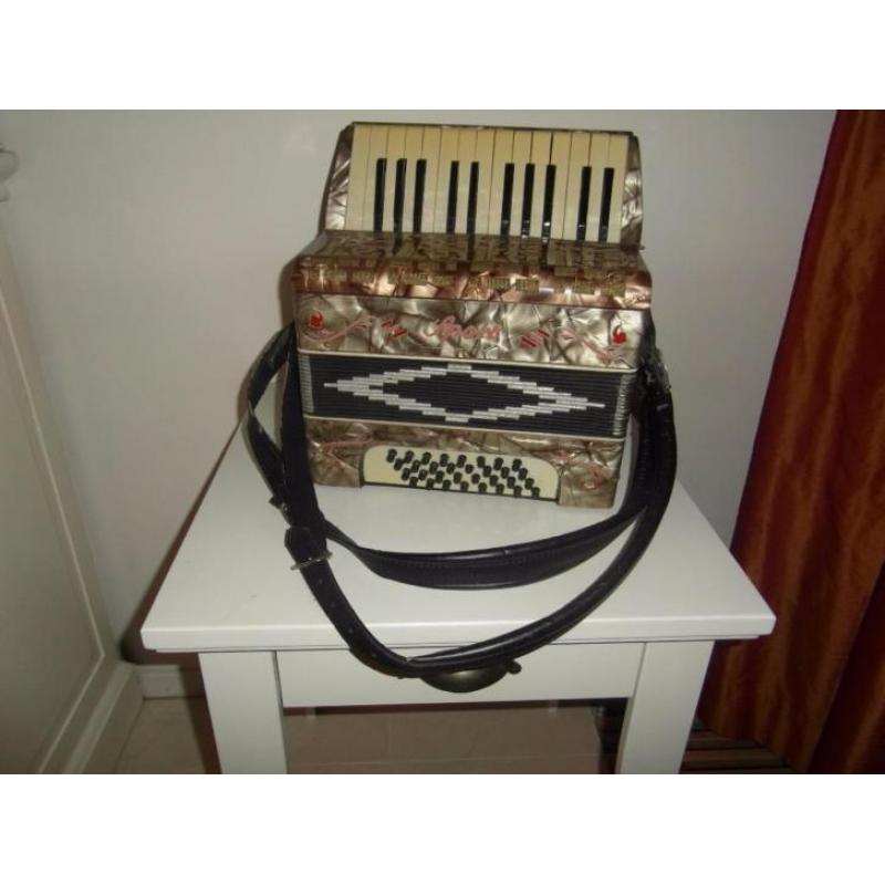 Zelfspelende mp3 Accordeon incl. lader en koffer