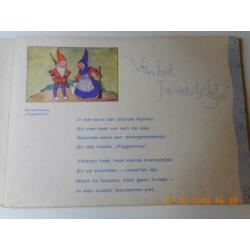 Van het toovervischje