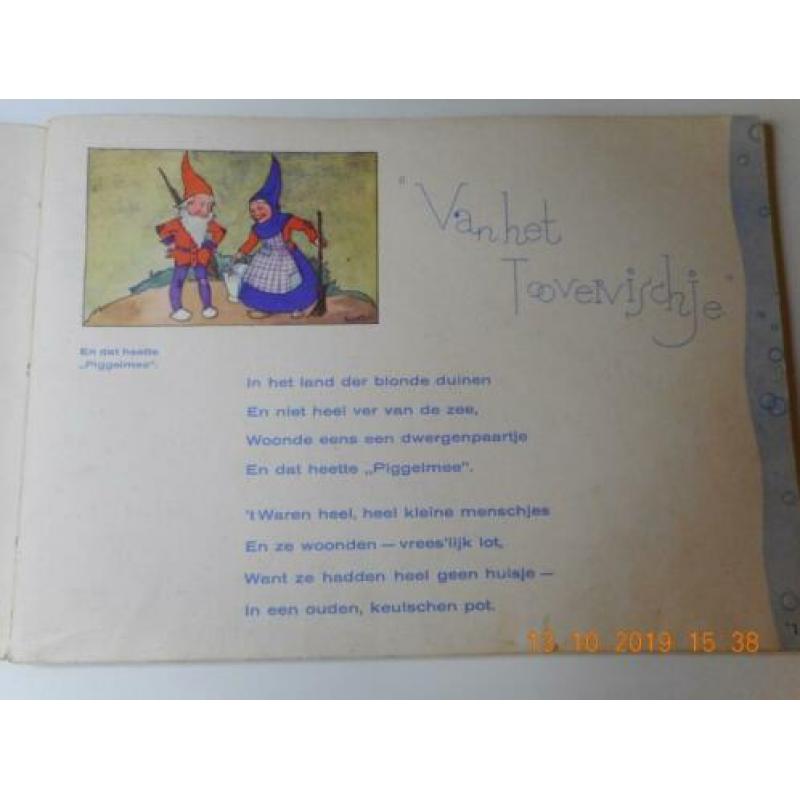Van het toovervischje