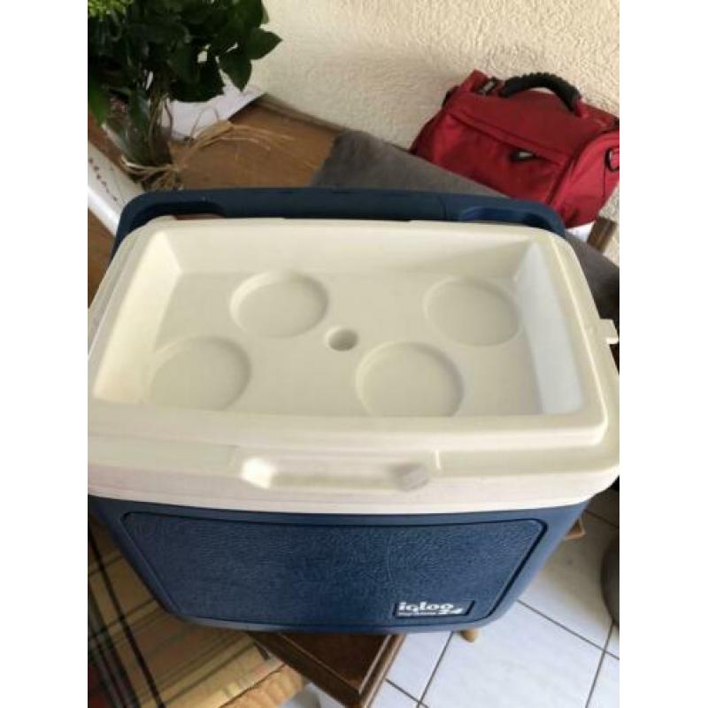 Igloo koelbox