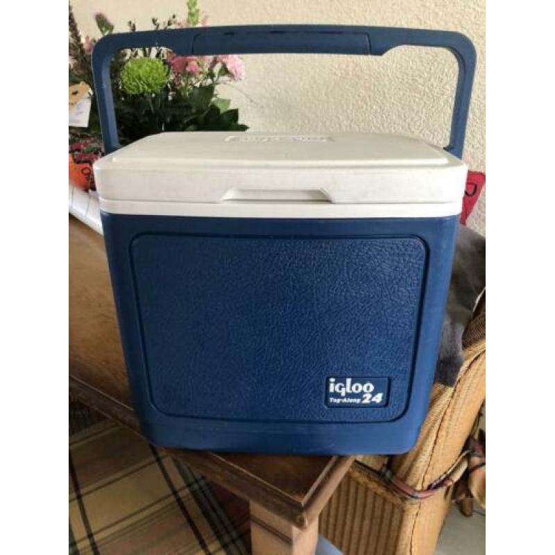 Igloo koelbox