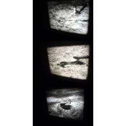 x 16mm film Cobra in Gevecht - silent zw/w - 30mtr