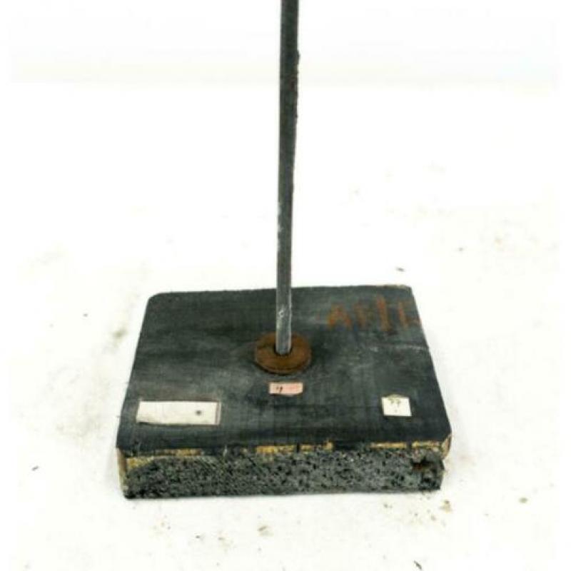Unieke oude vintage Anatomisch model nier No.1