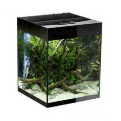mooie Nano aquaria, groote keus, kleine nanoprijzen
