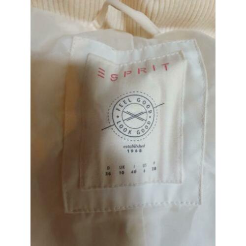 Winter jas esprit