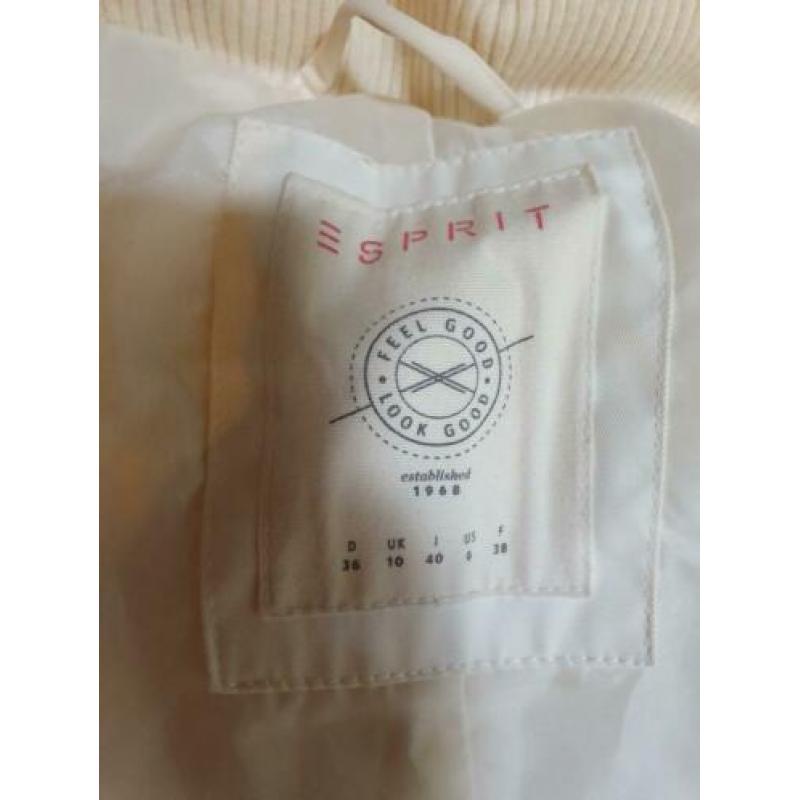 Winter jas esprit