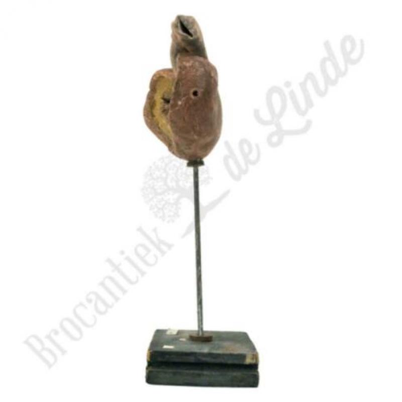 Unieke oude vintage Anatomisch model nier No.1