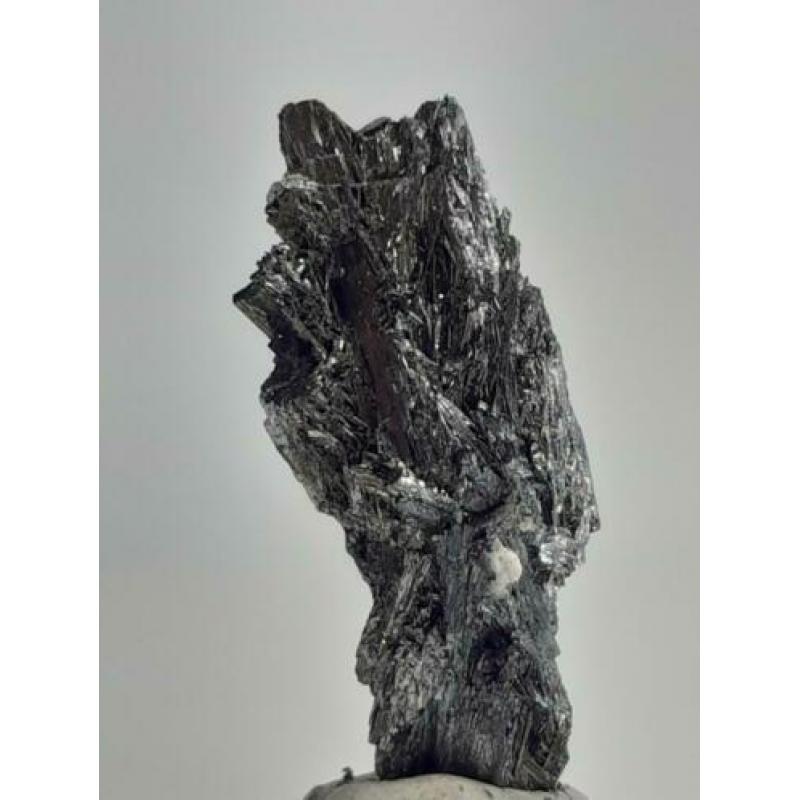 Zinkeniet - San Jose Mine, Bolivia