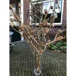 Decoratieve takken