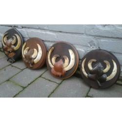 Schitterende 4 stuks set zwijnen - keiler tanden handbewerkt